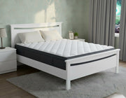 Medallion Bed Frame (White) +SleepTime Medium Mattress Queen | Furniture World Auckland