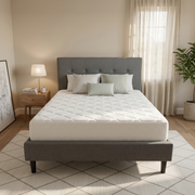Shirley Fabric Bed Frame +SleepTime Pocket Pillowtop Mattress - lifestyle