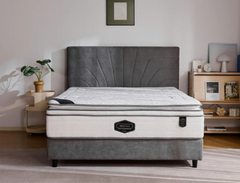 Dream Plush Mattress : Medium to Soft