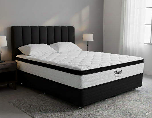 Venus Plush Mattress + Base