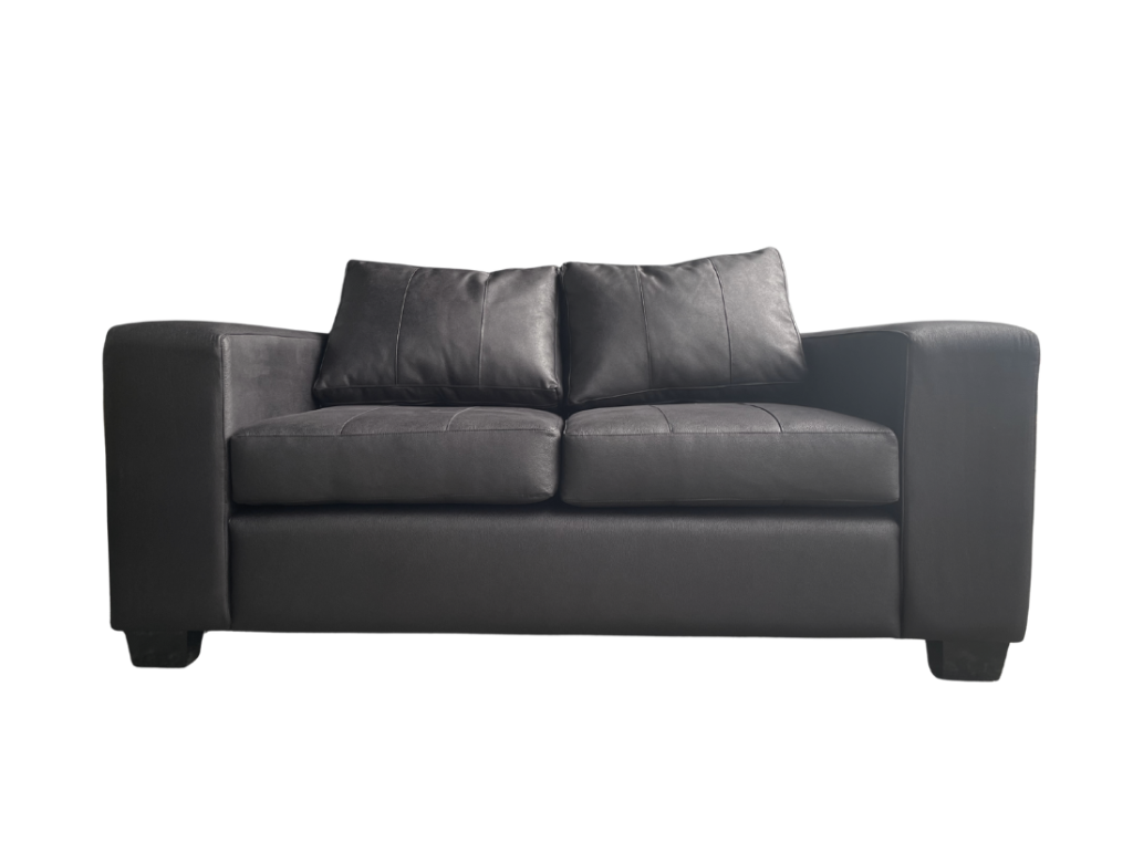 NZ Made Evoque 2 Seater Sofa