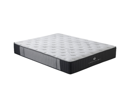 SleepMax X-Firm  Edge Foam Mattress