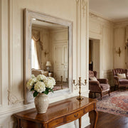 CasaVista Mirror | Furniture World NZ