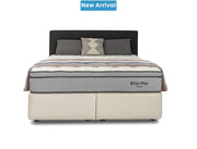 NZ Made Bliss Max Plush Mattress + Royal Bed Base