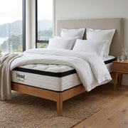 Venus Plush Mattress | Furniture World NZ